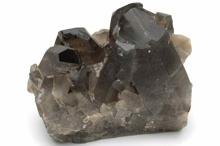 Natural Smoky Quartz Crystal Cluster - Brazil #231289